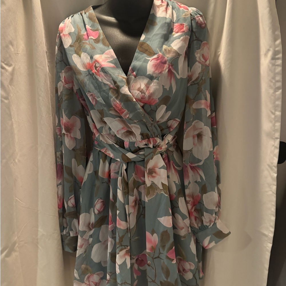 Express Floral Long Sleeve Dress - Blue and Pink